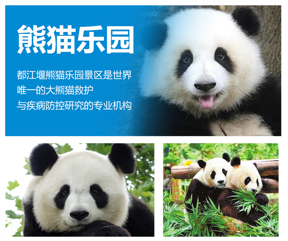 炫美——九寨沟、黄龙、熊猫乐园、都江堰、中国古羌城 双汽4日游