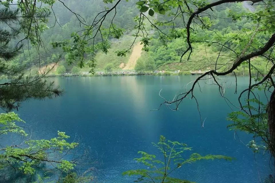 炫美-九寨沟、黄龙 ，峨眉山 ，乐山大佛  双汽5日游
