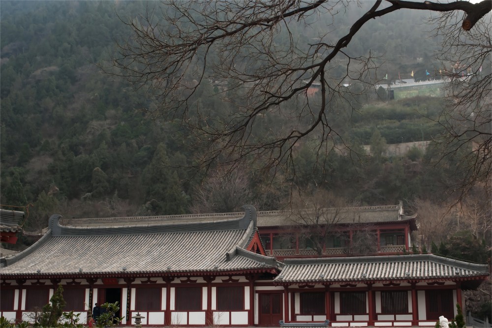 【梦回秦唐】 西安乾陵、法门寺、兵马俑、华清池、骊山、华山、大唐不夜 城、大慈恩寺、大雁塔广场、钟鼓楼广场、回民街五日游